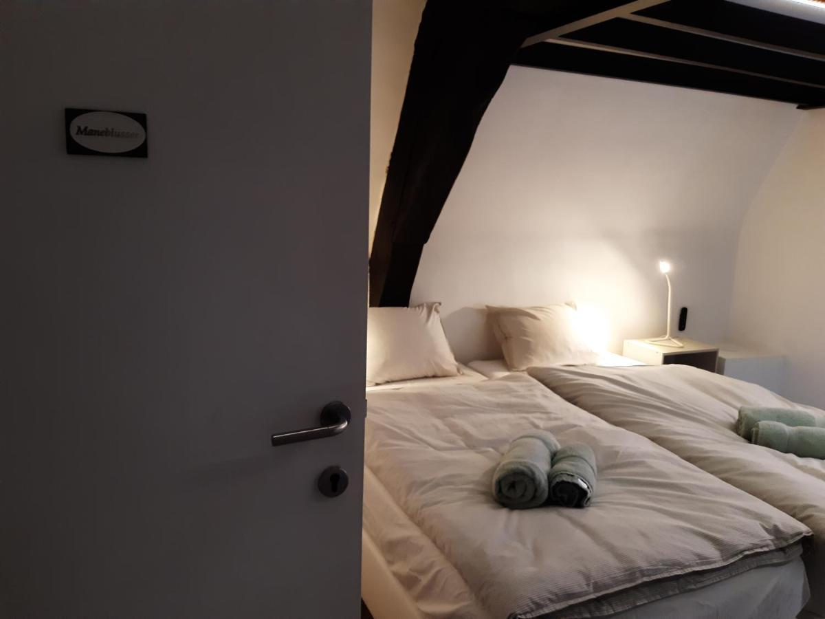Het Maelslot Apartment Mechelen Luaran gambar