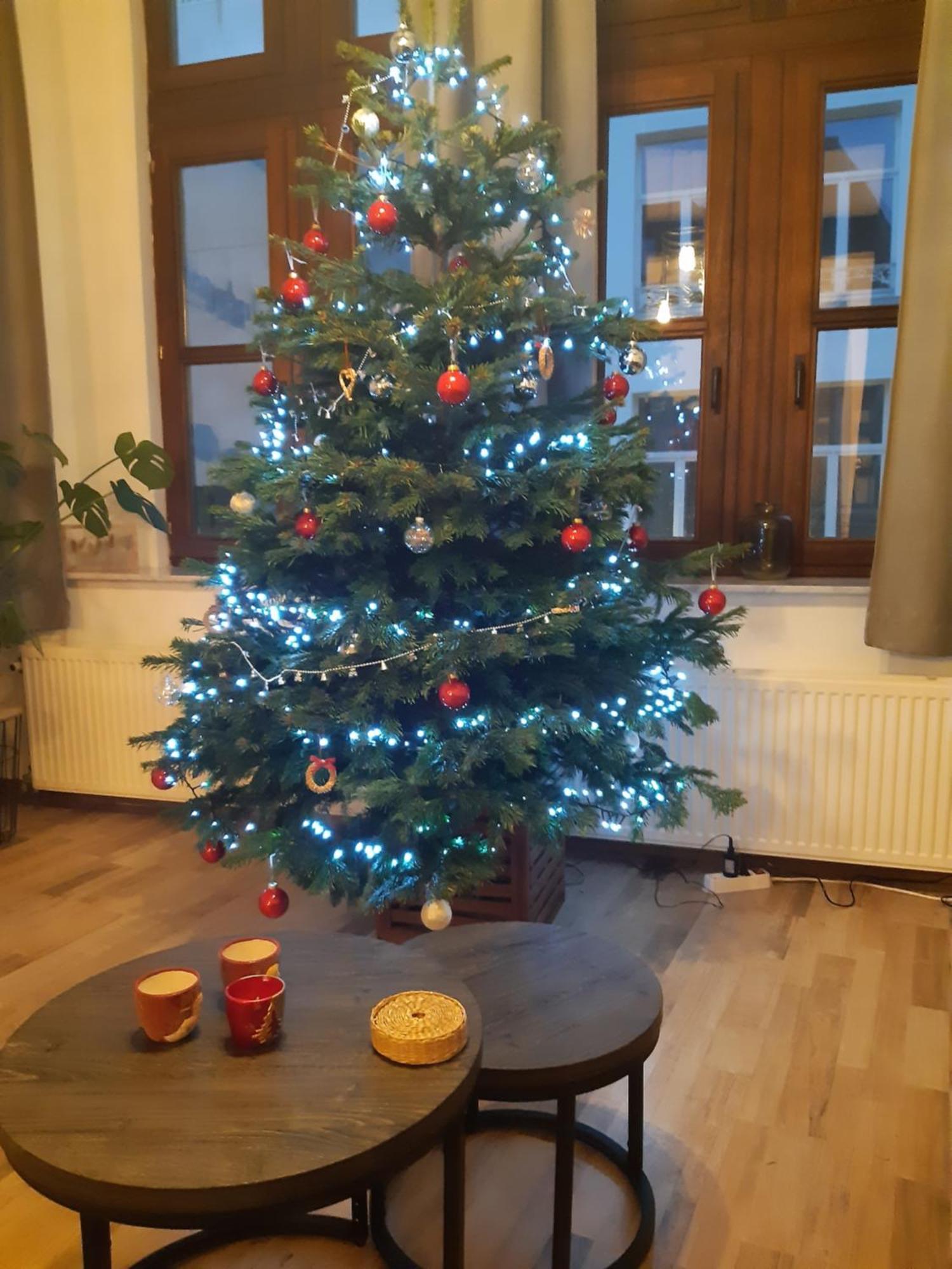 Het Maelslot Apartment Mechelen Luaran gambar